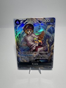 koala aa.jpg